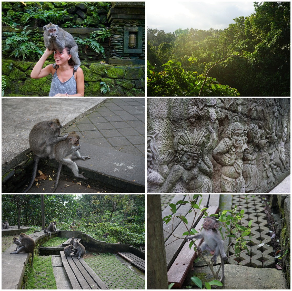 Monkey Forest Ubud 